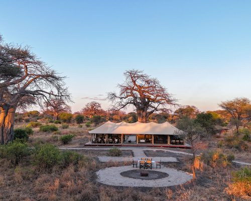 Tarangire Greenland1